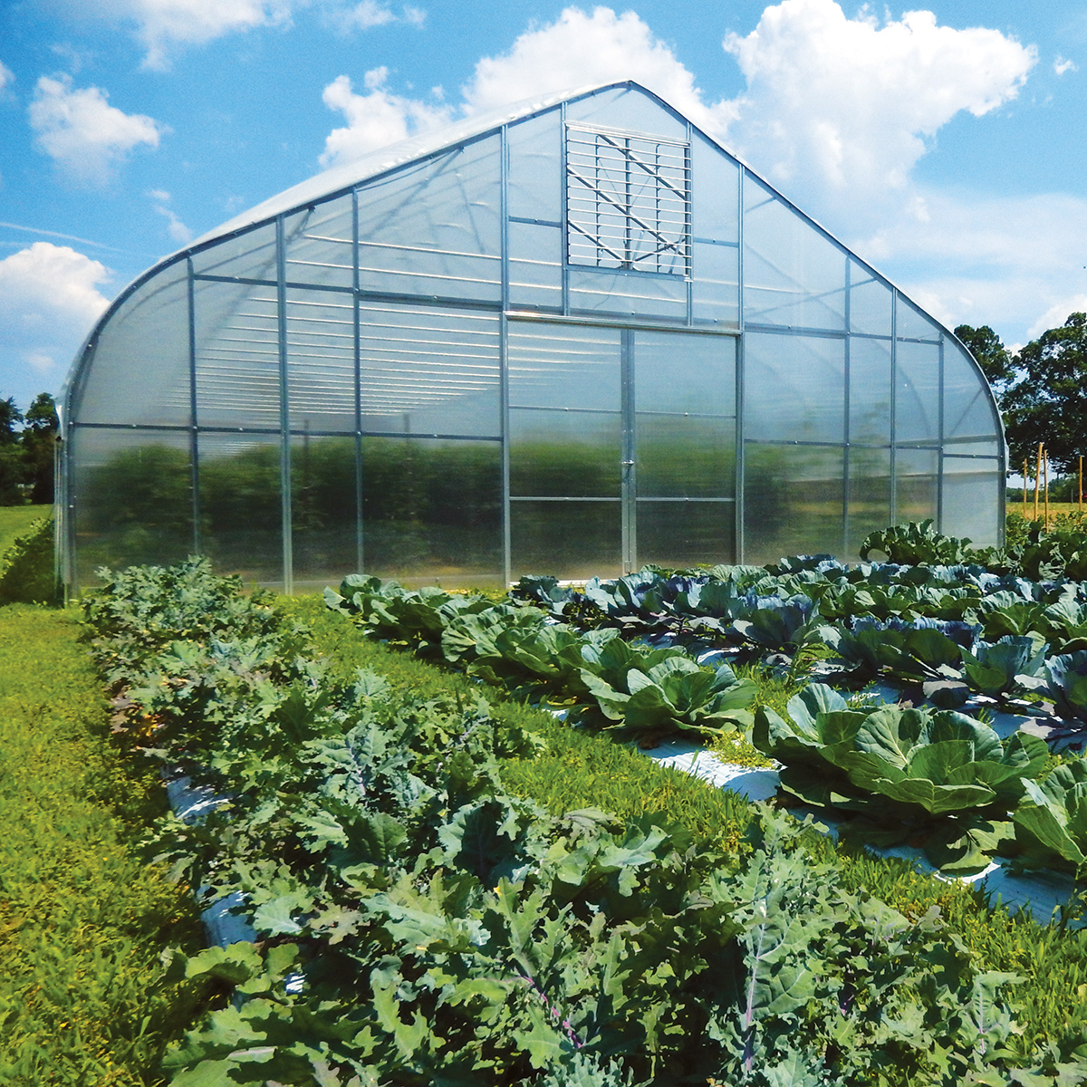 Greenhouses / High Tunnels